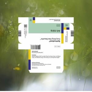 Spiritualized - Everything Was Beautiful Black Vinyl Edition 2022 Original